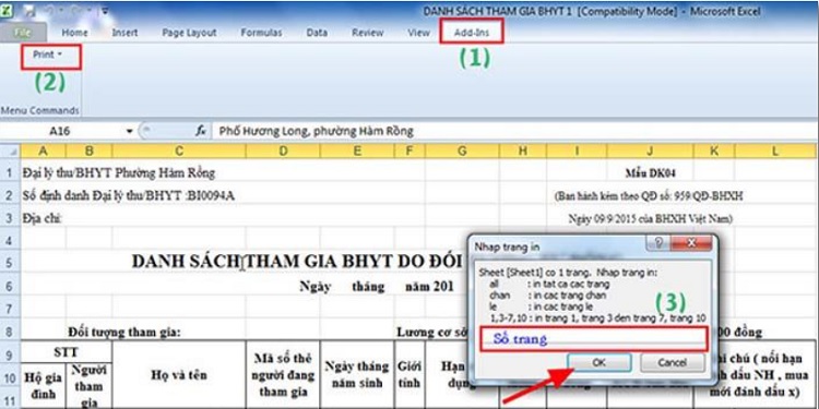 hinh 11 in 2 mat trong excel 2010
