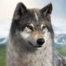 [Gift Code] Wolf Game: The Wild Kingdom mới nhất 05/2025